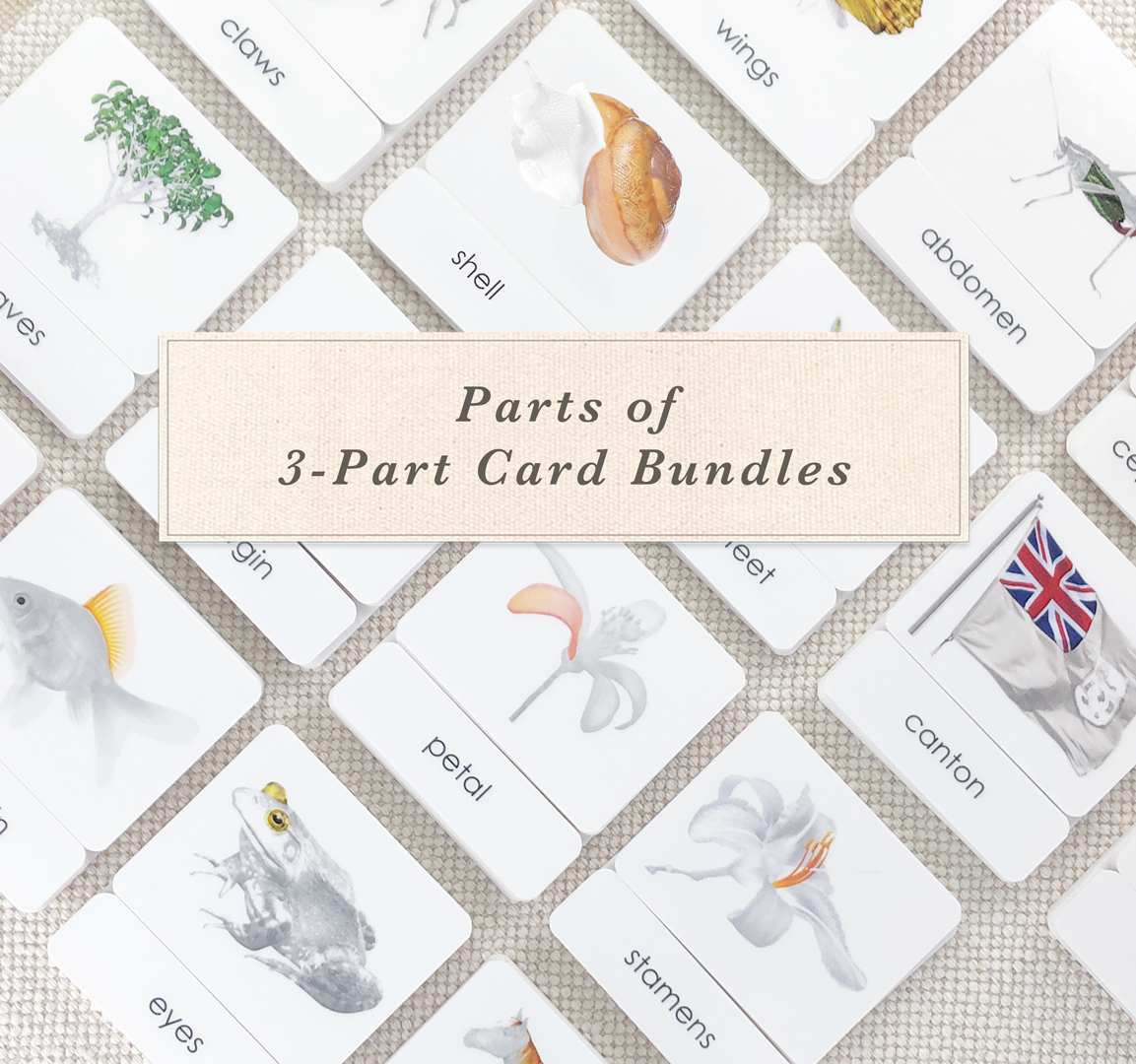 Parts of 3-Part Card Bundles