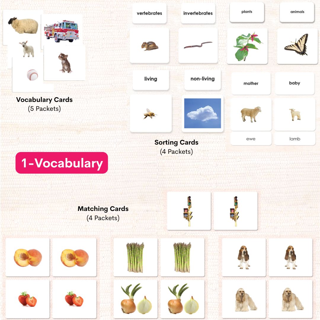 Preschool Literacy Bundles
