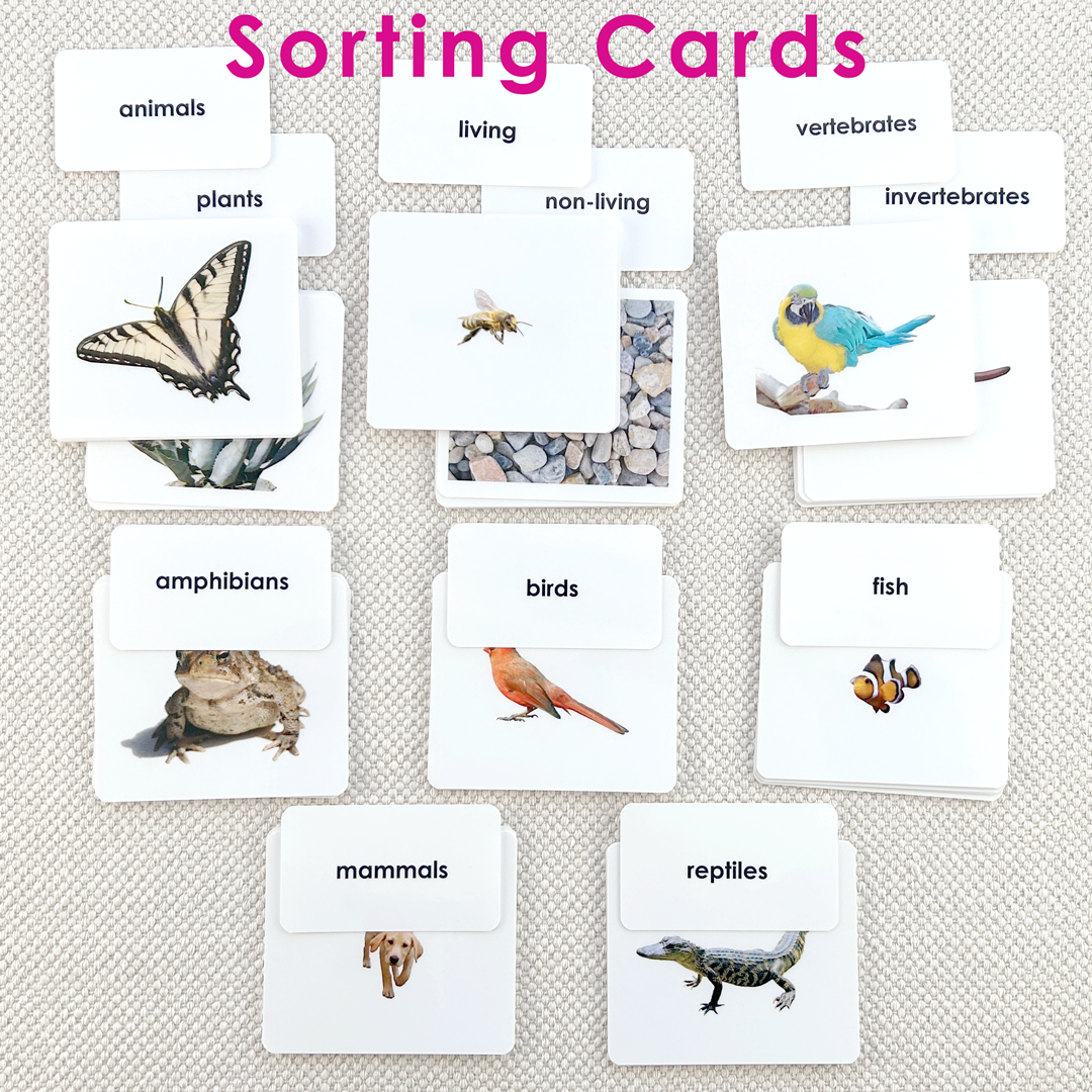 Literacy Foundations Kit