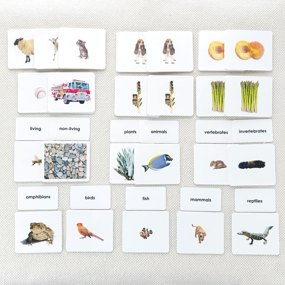 Vocabulary Building Kit