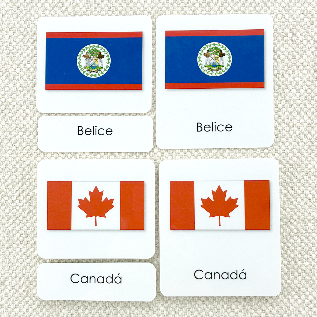 Spanish Flags of North America 3-Part Reading