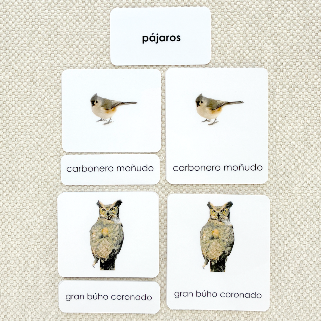 Spanish Birds 3-Part Cards