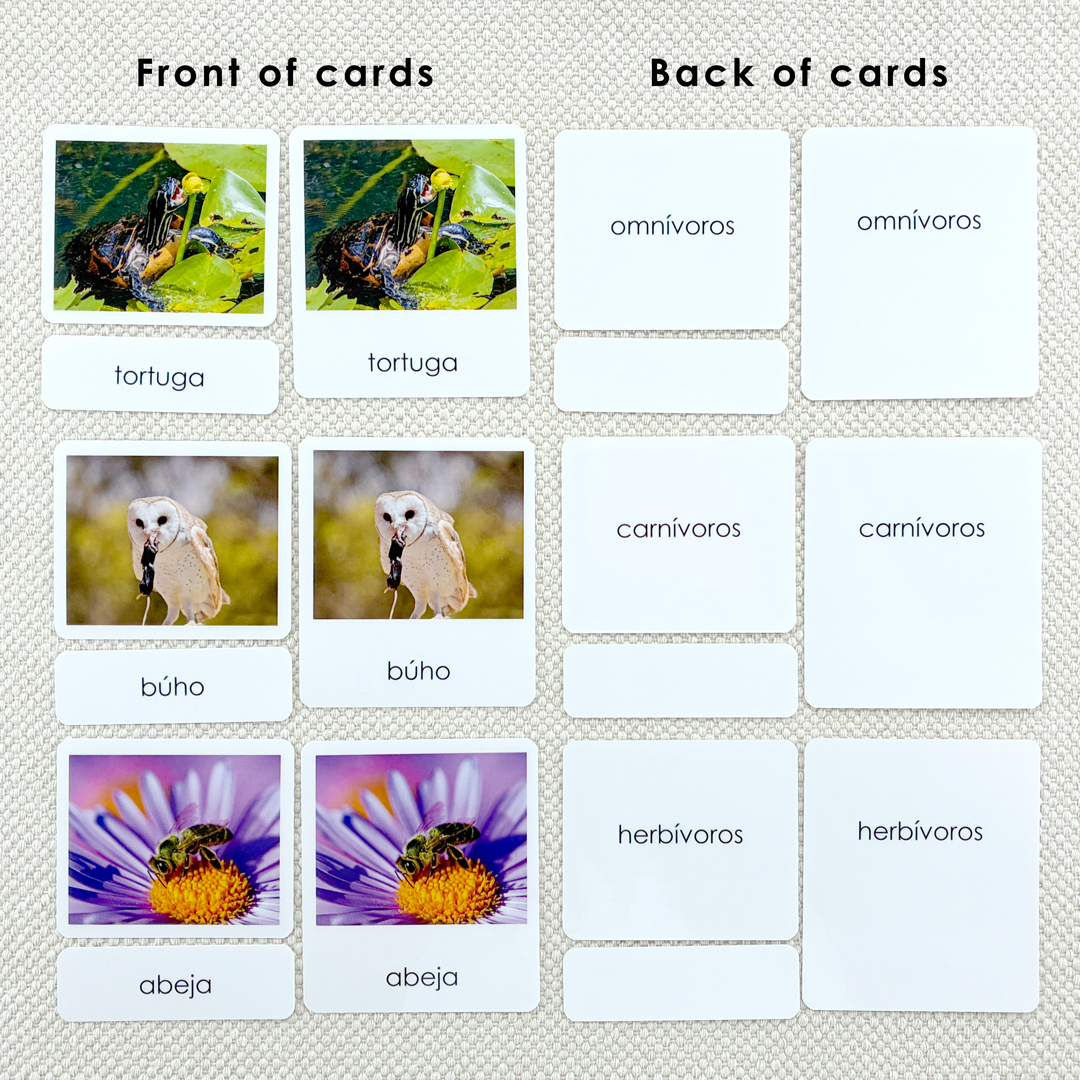 Spanish Carnivores, Herbivores & Omnivores