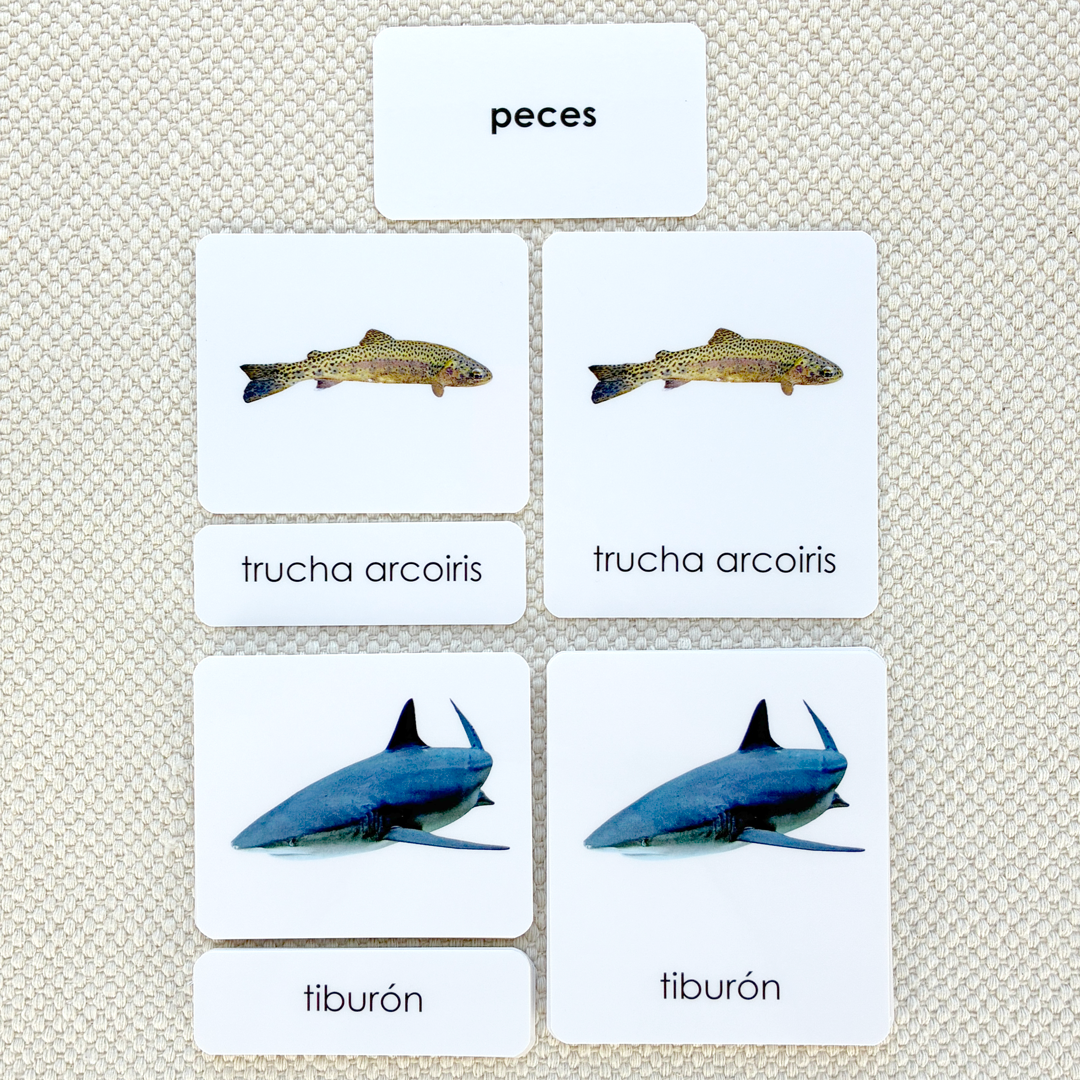 Spanish Fish 3-Part Cards