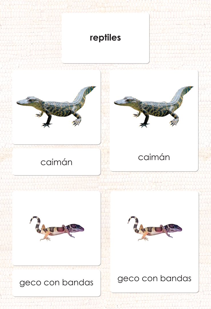 Imperfect Spanish Reptiles 3-Part Cards - Maitri Learning