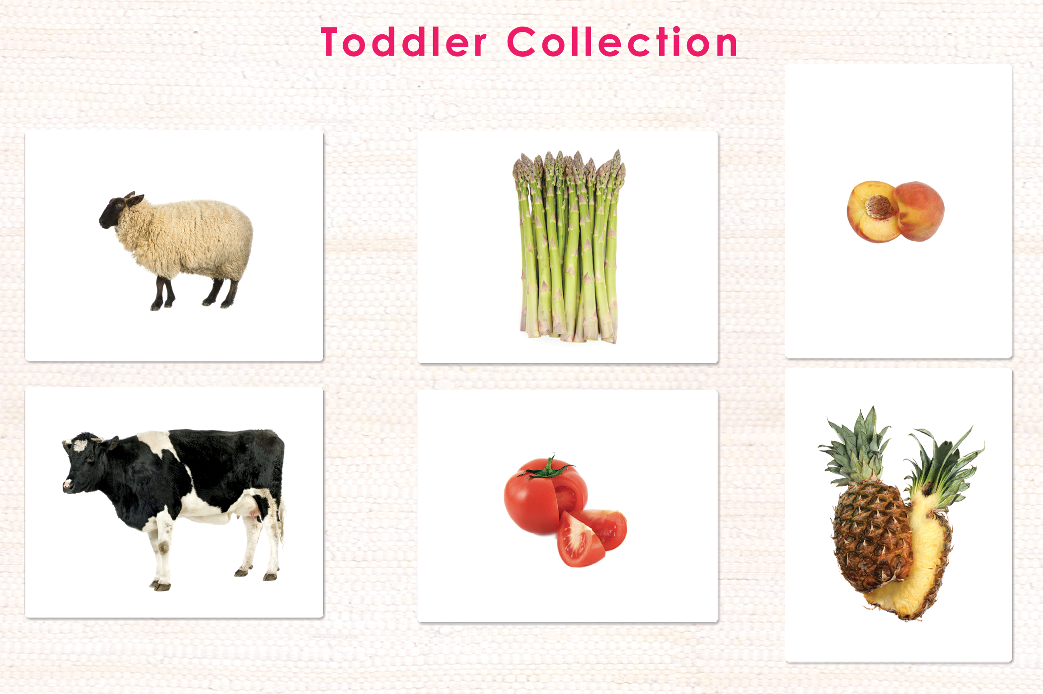 Toddler Collection - Maitri Learning