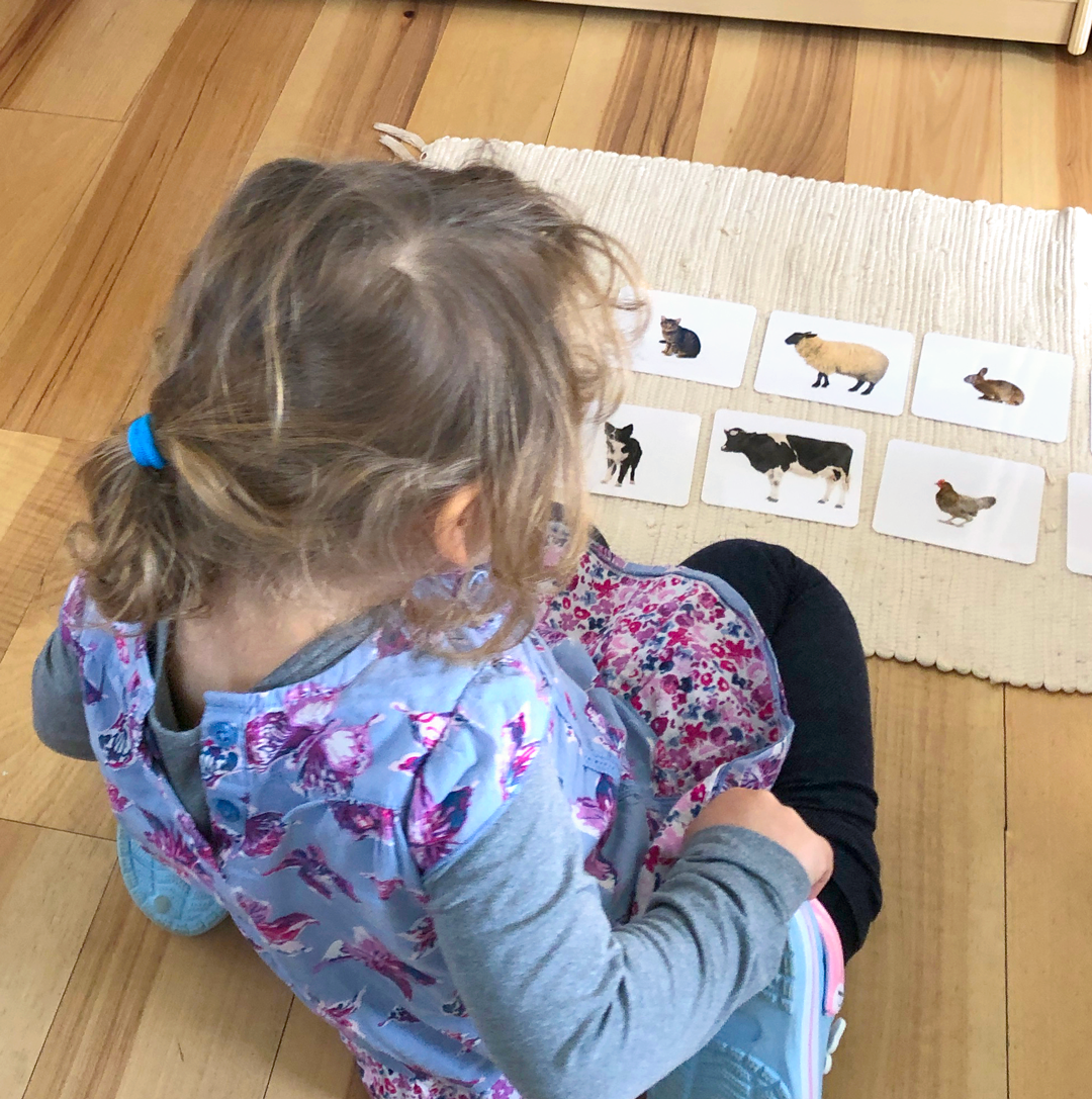 Farm Animals (Adult) Vocabulary
