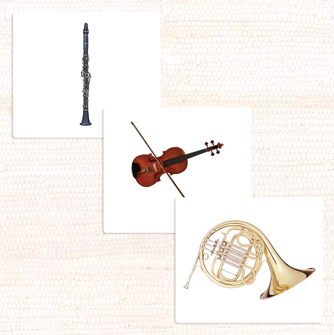 Imperfect Orchestral Musical Instruments Vocabulary - Maitri Learning