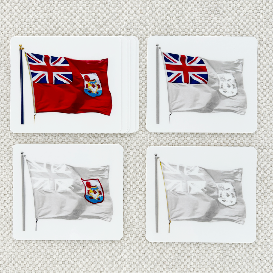 Imperfect Parts of the Flag Vocabulary - Maitri Learning