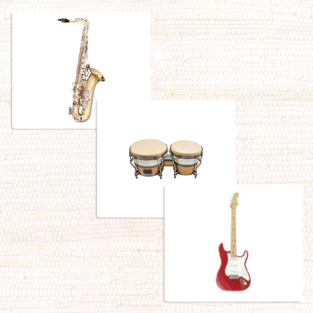 Imperfect Popular Musical Instruments Vocabulary - Maitri Learning