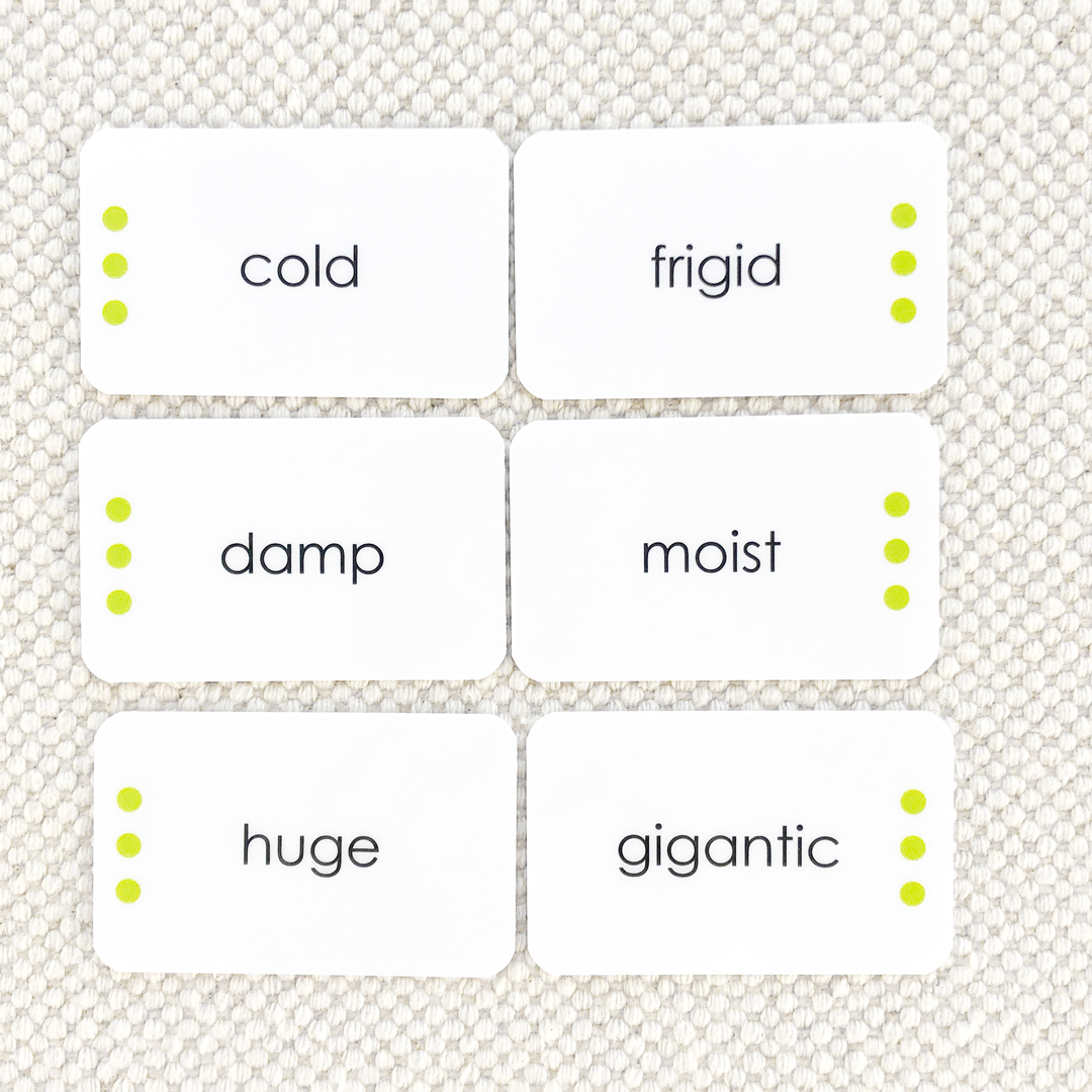 Synonyms