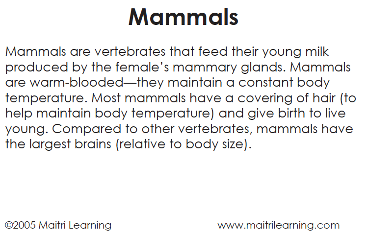 Mammals Vocabulary