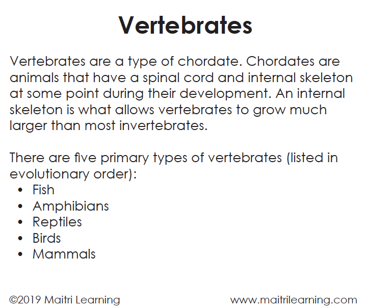 Invertebrates/Vertebrates Sorting