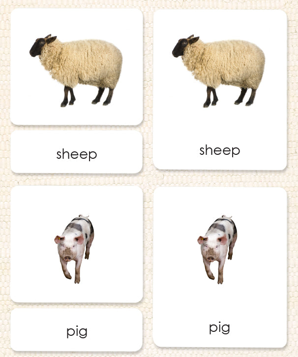 Farm Animals (Adult) 3-Part Reading - Maitri Learning