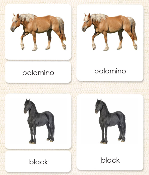 Horses (Coat Colors) 3-Part Reading - Maitri Learning