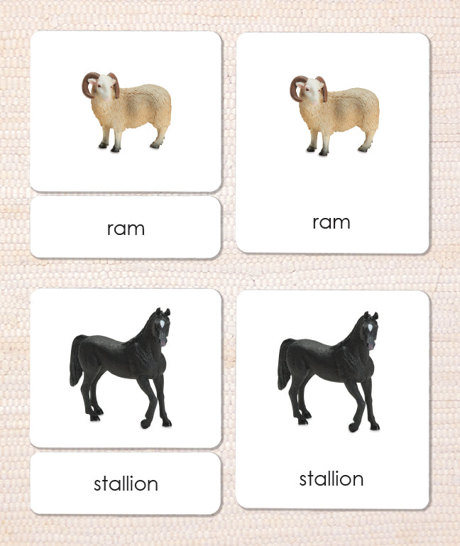 Farm Families 3-Part Reading - Maitri Learning