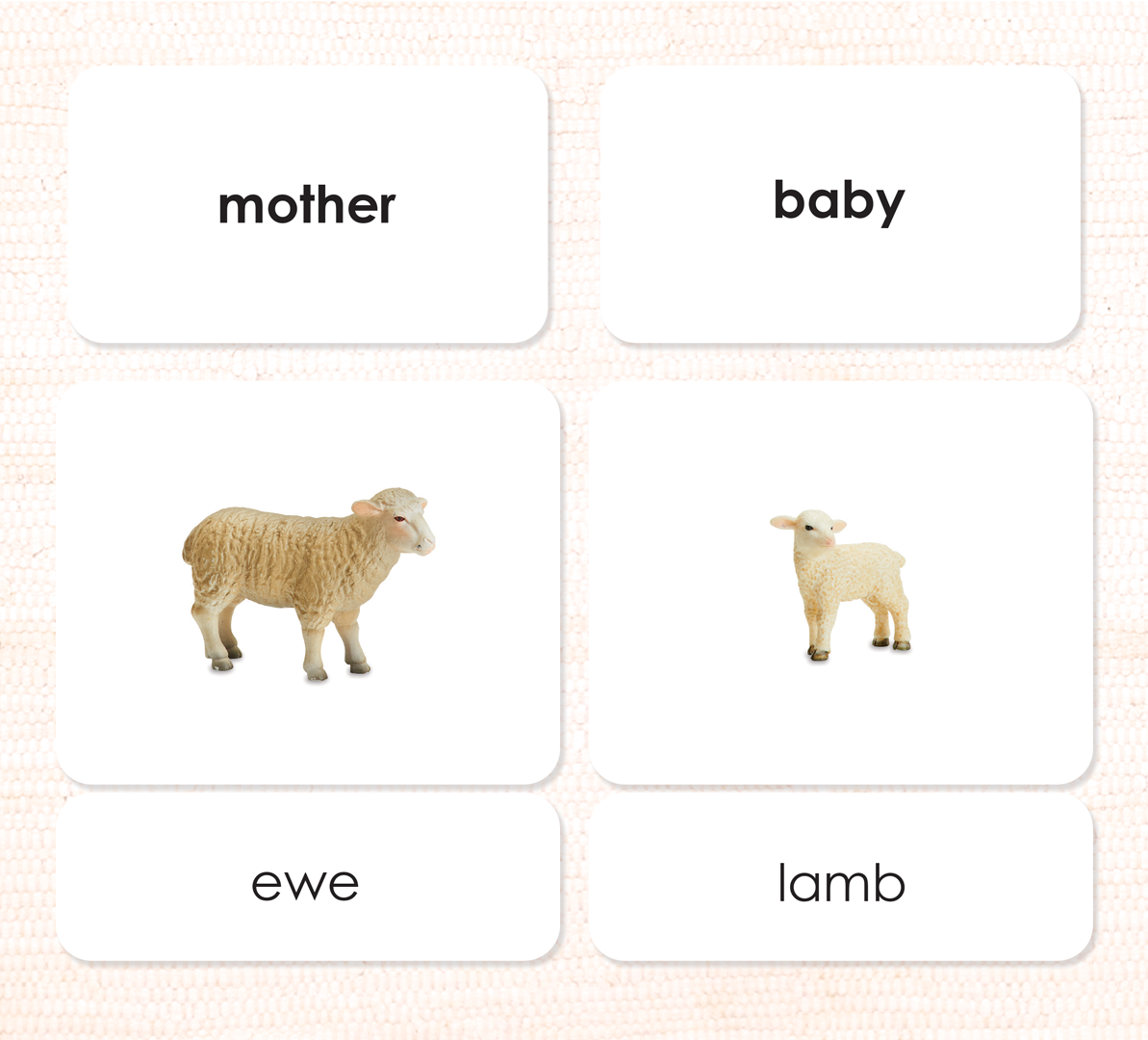 Farm Families 3-Part Sorting - Maitri Learning