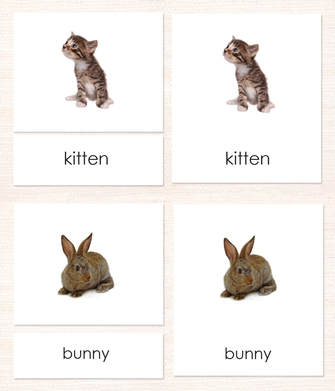 Cardstock Pets 3-Part Reading - Maitri Learning