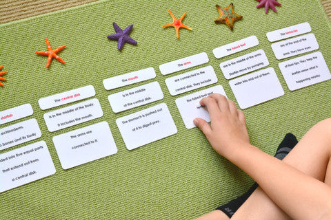"Parts of" the Sea Star (Starfish) Book & Card Set - Maitri Learning