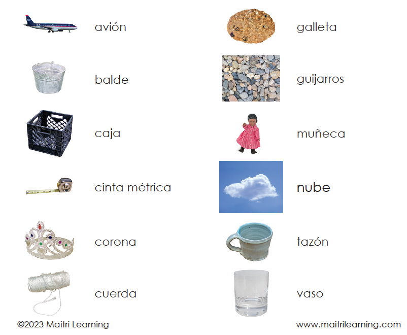 Spanish Non-Living 3-Part Cards - Maitri Learning