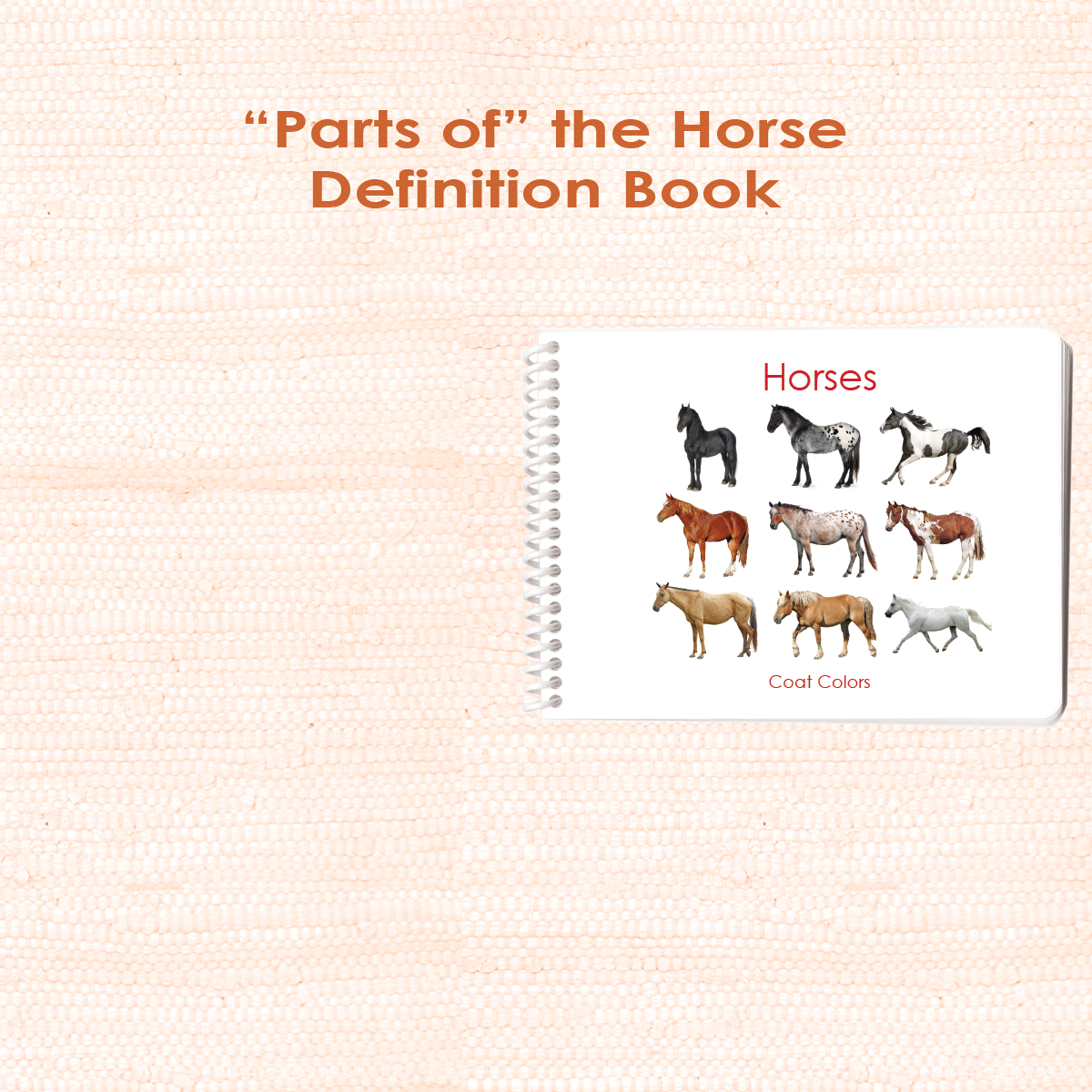 Horses: Coat Colors Book - Maitri Learning