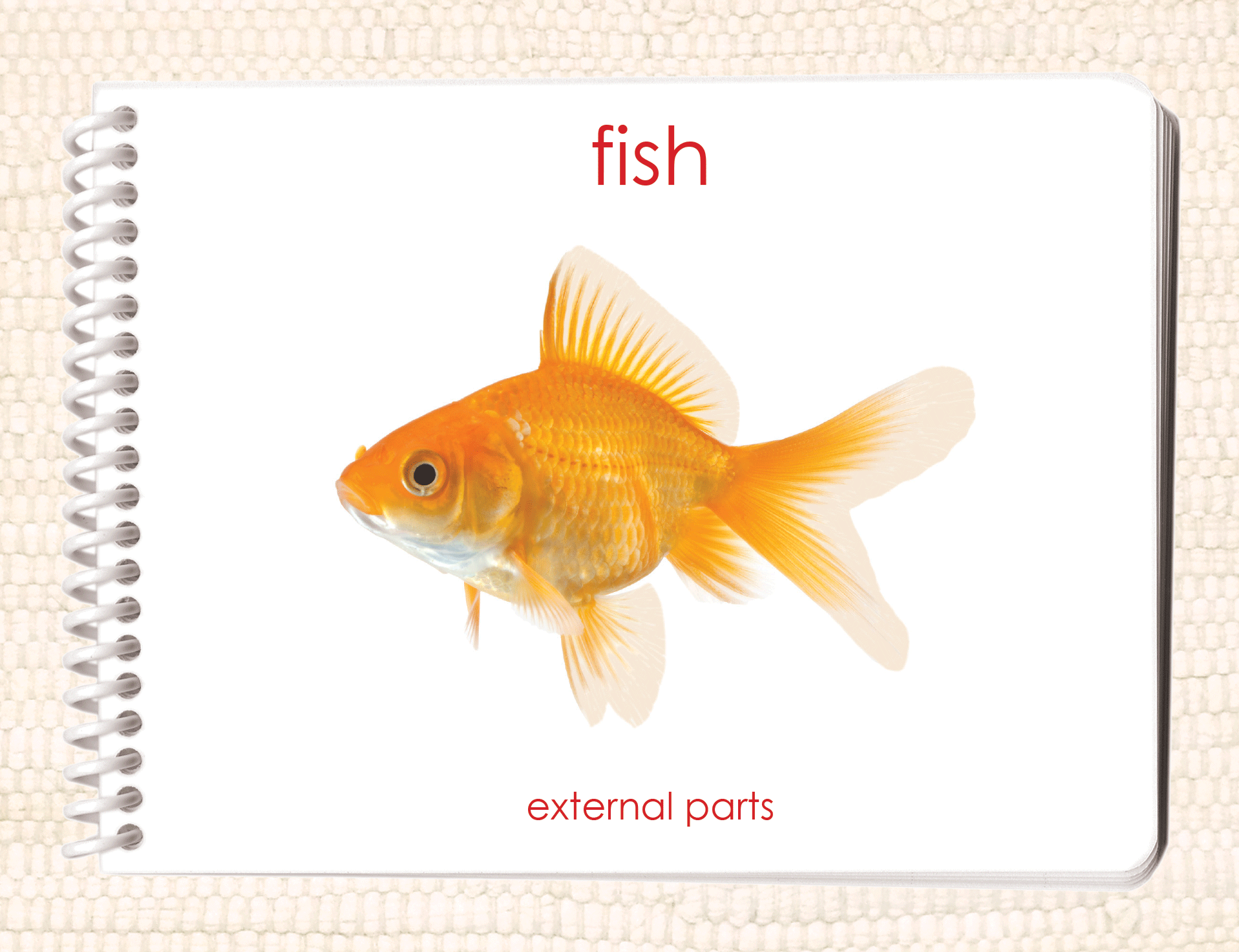 "Parts of" the Fish Book - Maitri Learning