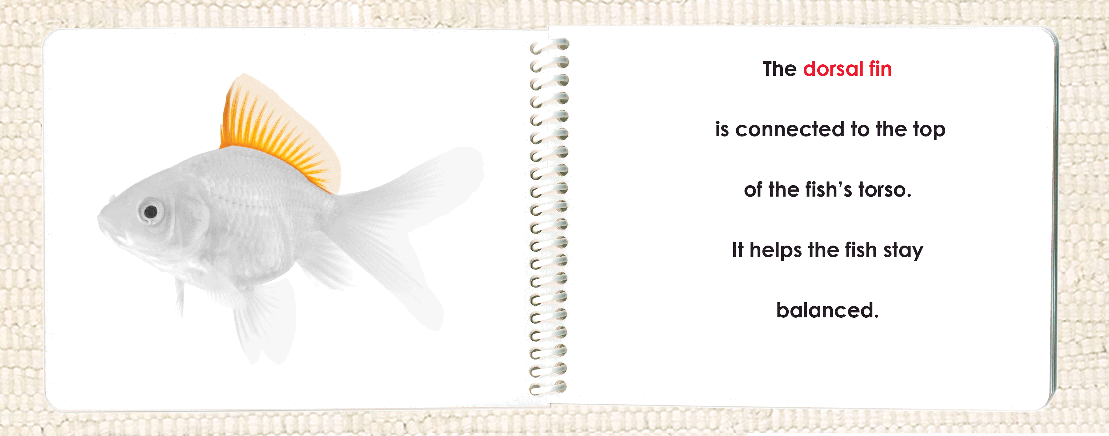 "Parts of" the Fish Book - Maitri Learning