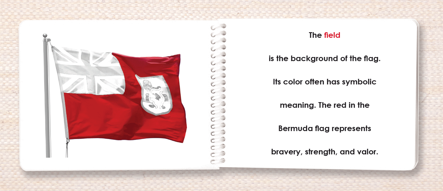 "Parts of" the Flag Book - Maitri Learning