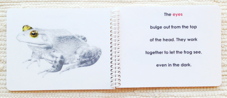 Imperfect "Parts of" the Frog Book - Maitri Learning