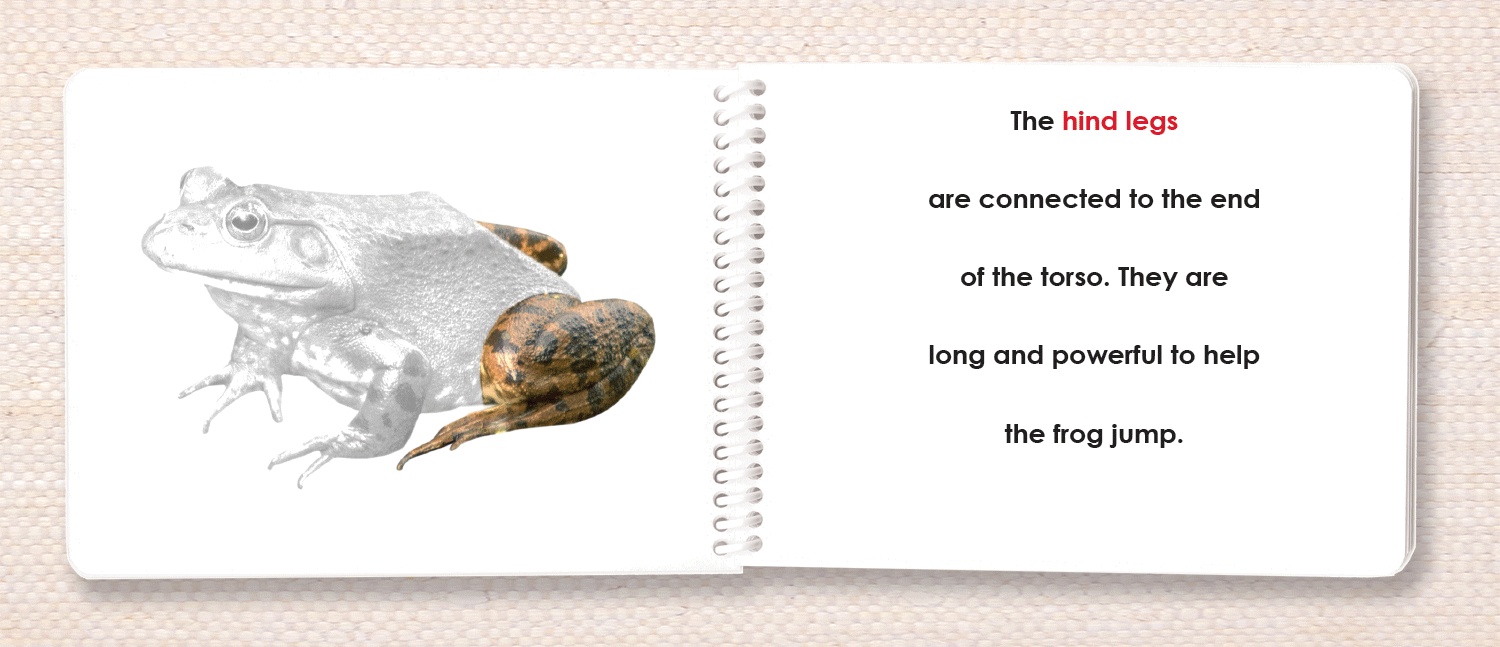 Vertebrates "Parts of" Book Set - Maitri Learning