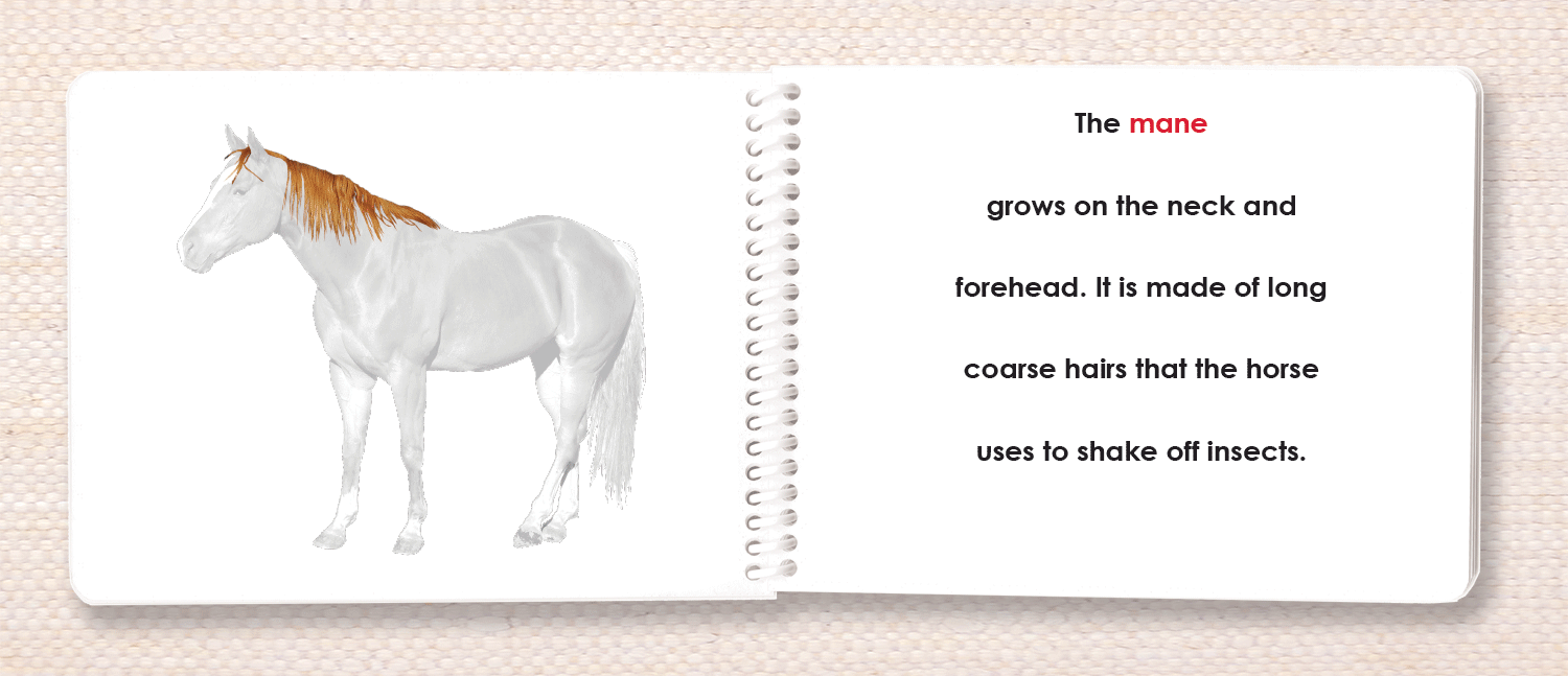 Vertebrates "Parts of" Book Set - Maitri Learning