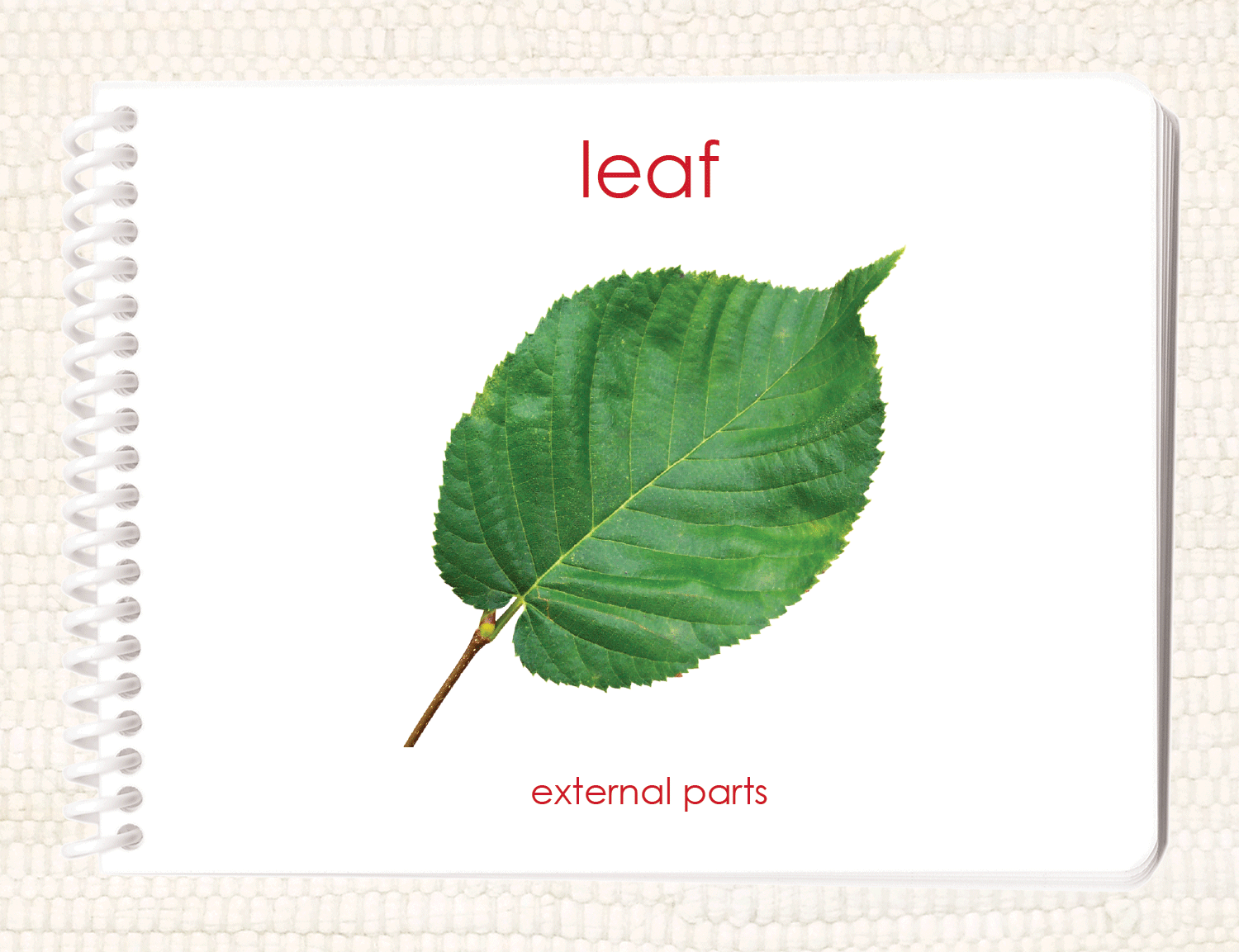"Parts of" the Leaf Book - Maitri Learning