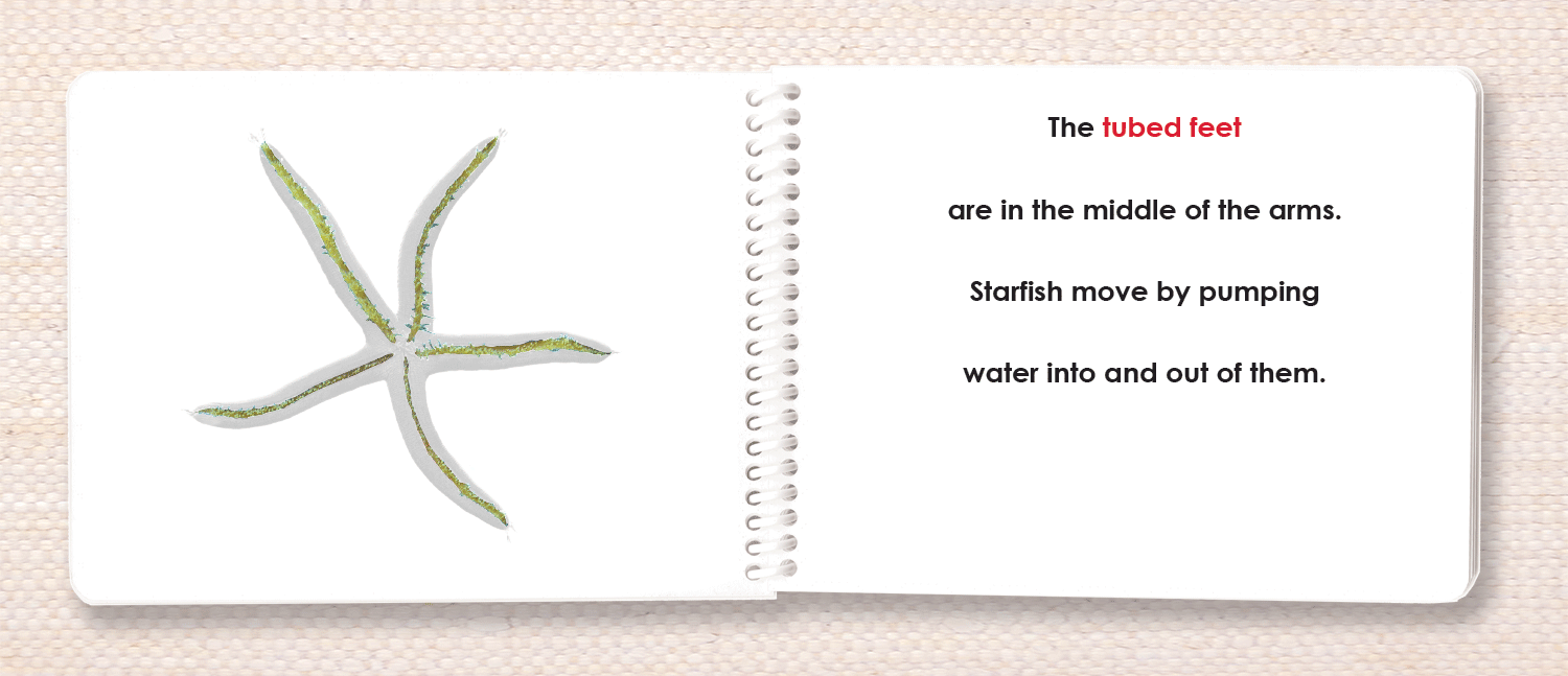 "Parts of" the Sea Star Book - Maitri Learning