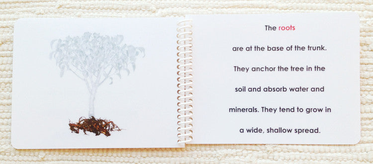 Imperfect: "Parts of" the Tree Book - Maitri Learning