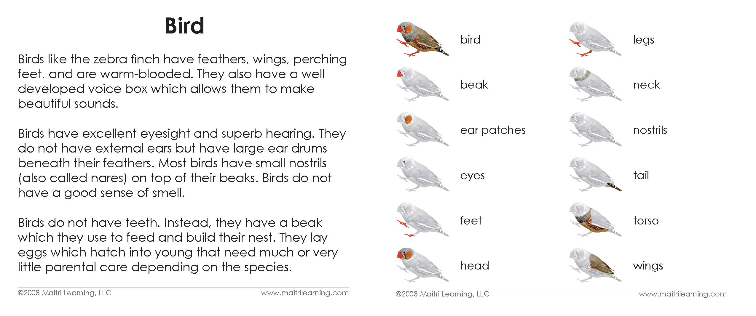 Imperfect Parts of the Bird Book - Maitri Learning