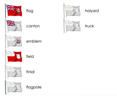 "Parts of" the Flag <p>3-Part Reading - Maitri Learning