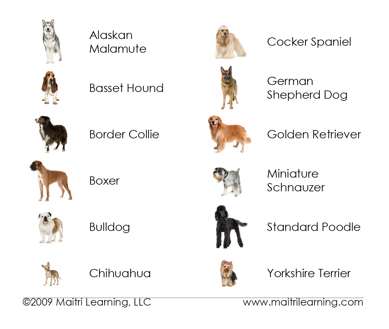 Imperfect Dogs 3-Part Reading - Maitri Learning