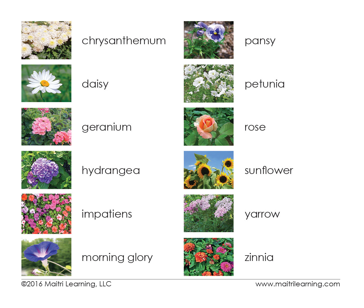 Garden Flowers 3-Part Reading - Maitri Learning