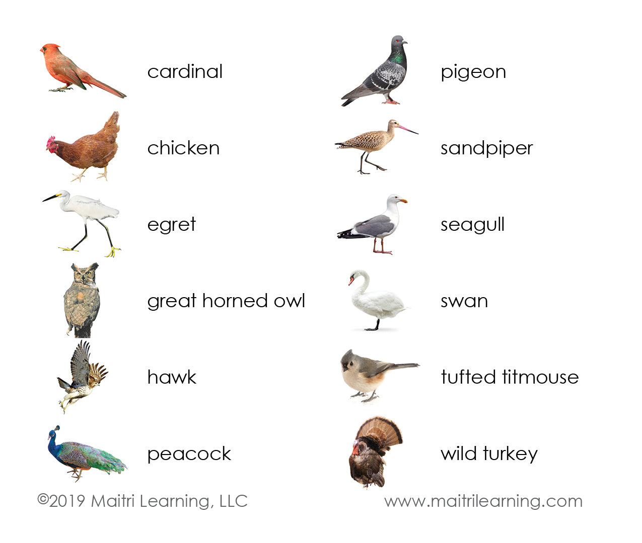 Birds 3-Part Reading - Maitri Learning