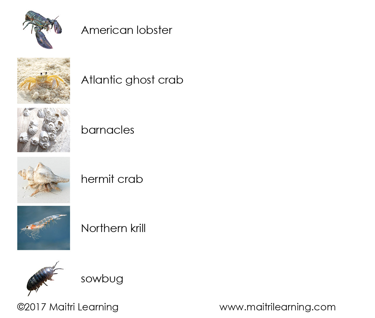 Imperfect Crustaceans 3-Part Reading - Maitri Learning