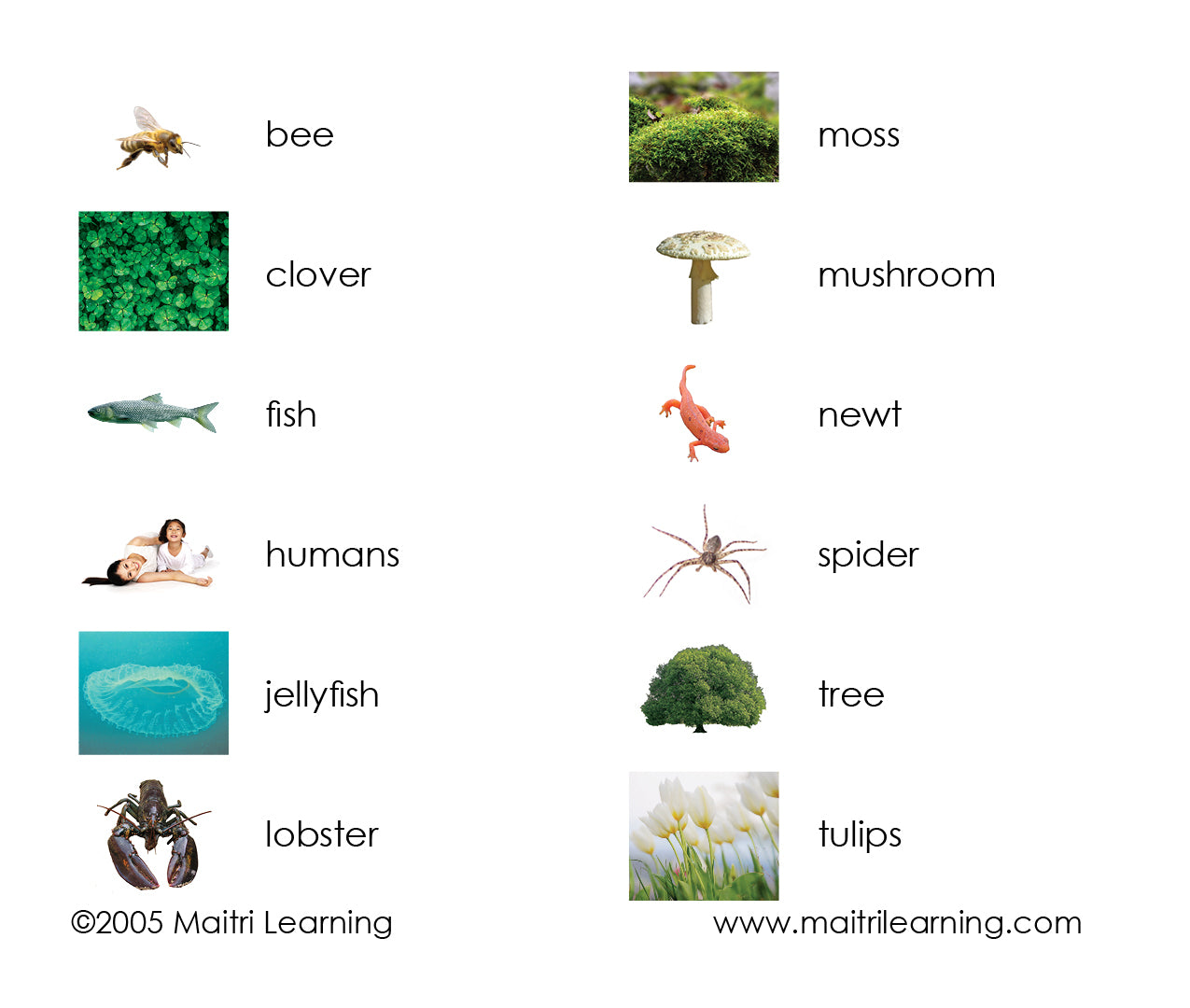 Living 3-Part Reading - Maitri Learning