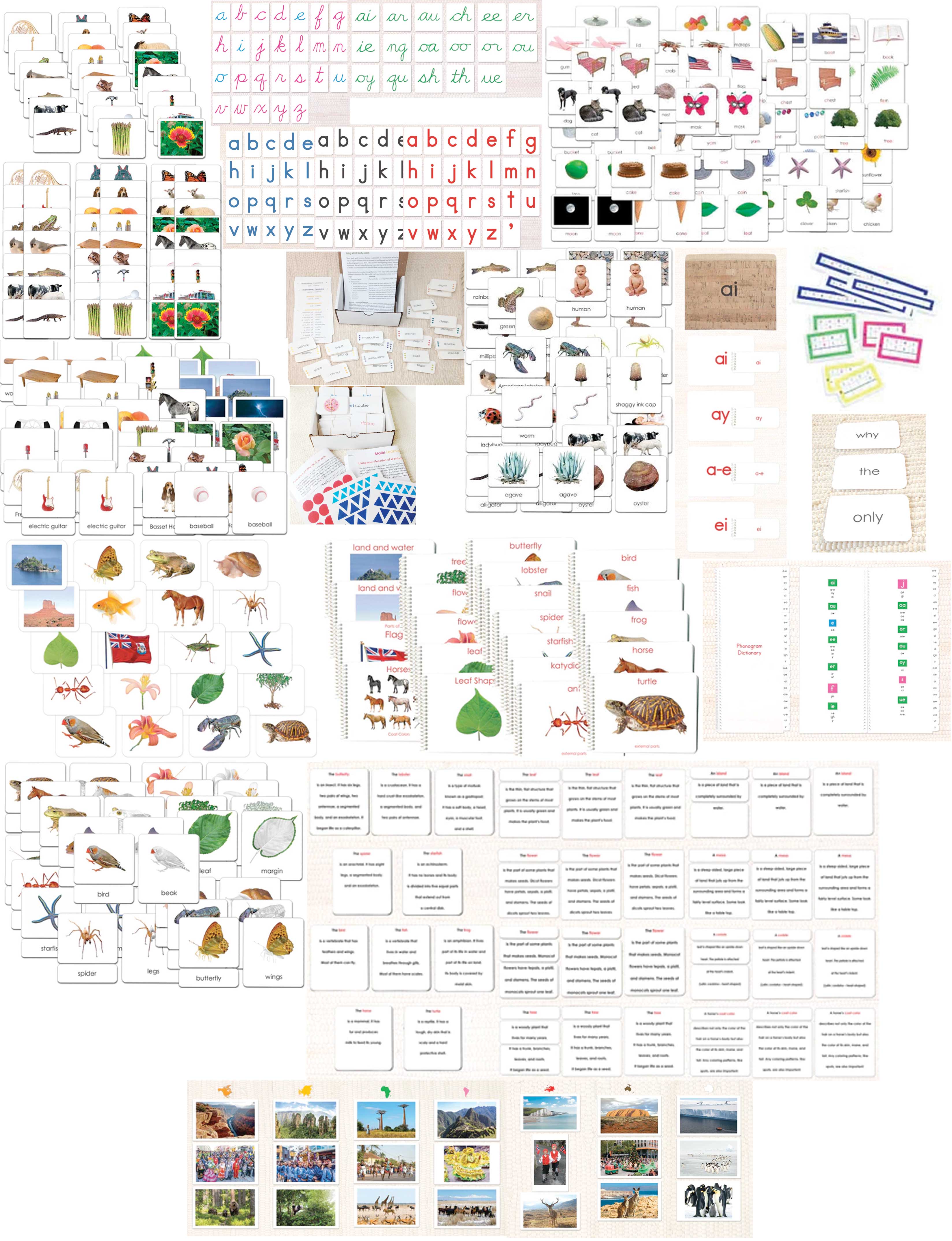 Complete EC Classroom Set - Maitri Learning