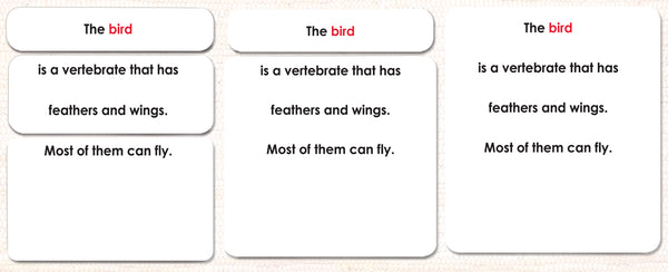 Parts of The Bird Photo Cards Laminated Three-Part External Anatomy Card Set from Maitri Learning