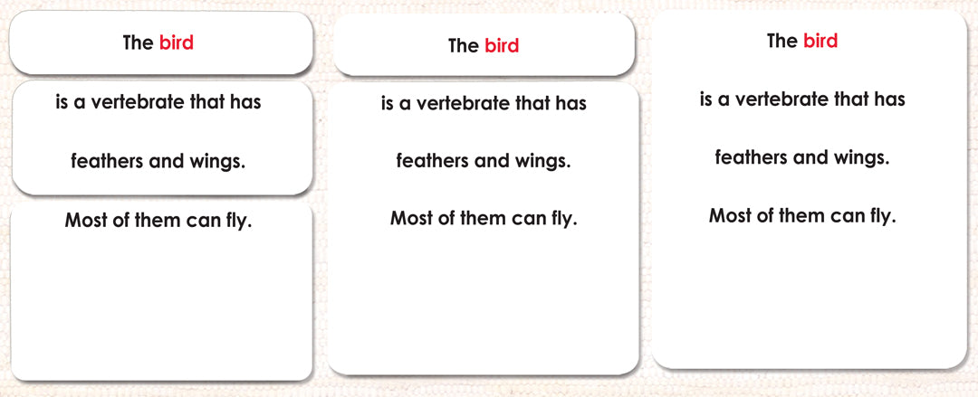Imperfect Vertebrates Definition Card Set - Maitri Learning