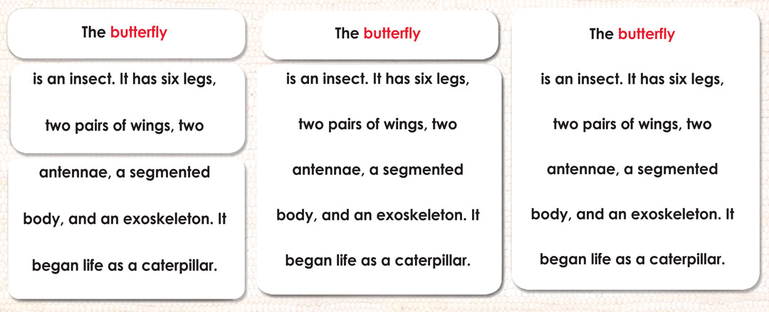Parts of the Butterfly Definitions - Maitri Learning