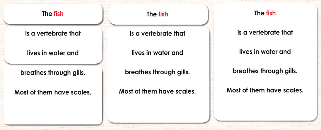 Imperfect Vertebrates Definition Card Set - Maitri Learning