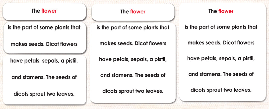 Parts of the Flower (Monocot) Definitions - Maitri Learning