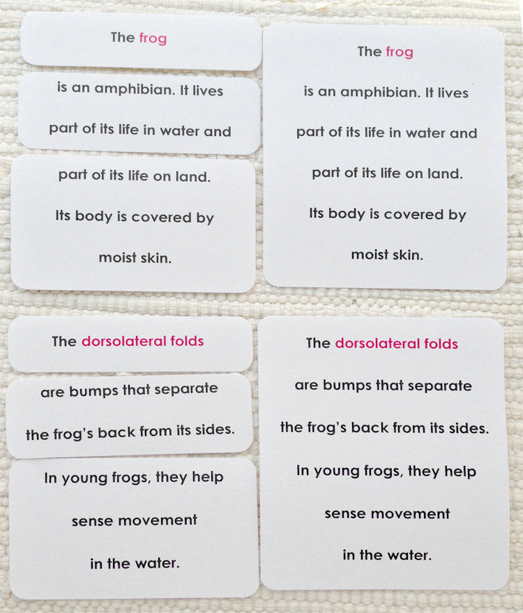 "Parts of" the Frog Definitions - Maitri Learning