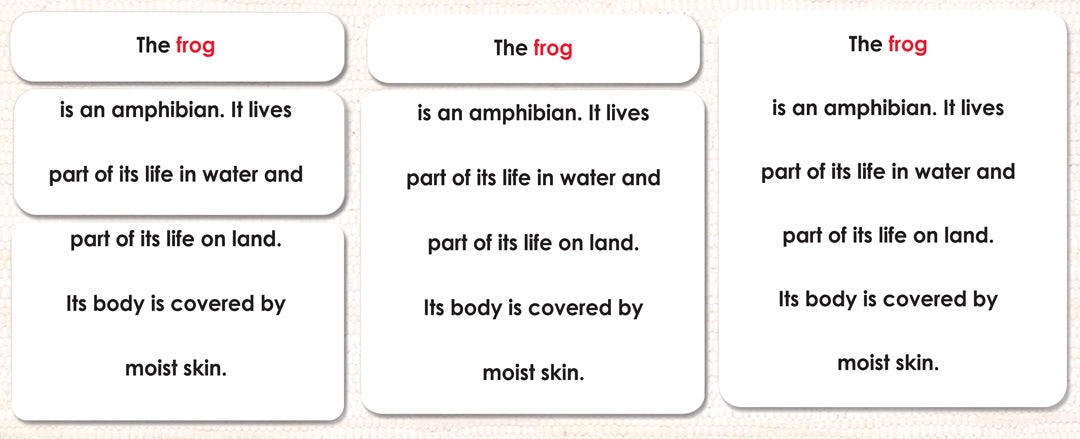 Imperfect Vertebrates Definition Card Set - Maitri Learning