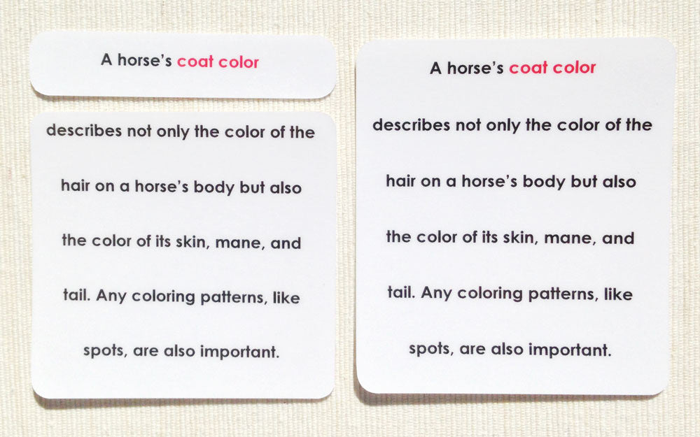 Horse Coat Colors Definition Cards - Maitri Learning